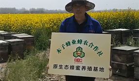 木子蜂業(yè)蜂農(nóng)合作社